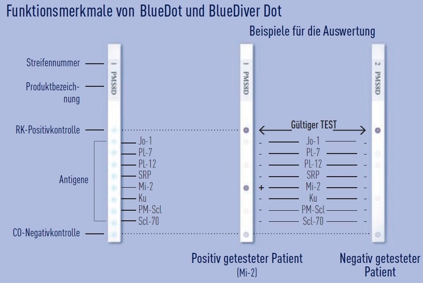 BlueDotBlueDiverDotde